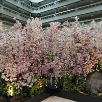 花閒 - 