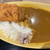 博多カレー研究所 博多とんこつあごだしカレー