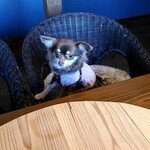 三輪そうめん流し - 