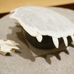 神保町 傳 - 【2013.3.14】スッポン