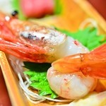 鶴雅ウィングス - お造り：牡丹海老