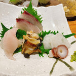 Isojima - しまあ・つぶ貝など刺身