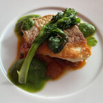 フレンチ ビストロ lemidi 桜木町 みなとみらい - 熊本産 真鯛のポワレ 菜の花ソースがけ