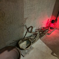 日本焼肉はせ川 表参道店 - 