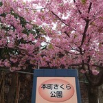 やぶ善 - お店を出て前の小路を進むと、さくら公園があります。