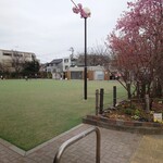 やぶ善 - 青空の下、芝生の緑と桜のピンクが映えるシチュエーション。