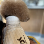 PARKER COFFEE STAND - この日のシェリ