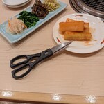 Yakiniku Kyuutetsu - 