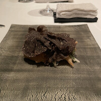 カンテサンス - 