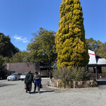 ビッグシェフ - 