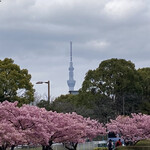 Kushikatsu Tanaka - 