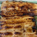 鯉とうなぎのまるます家 - 