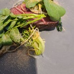 ラ・ヴァガボンド - 