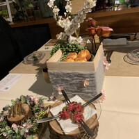 ウェロニカ ペルシカ - 