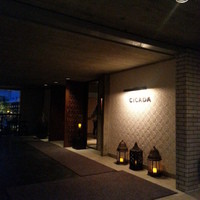 CICADA - 