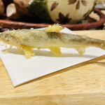 銀座天ぷらよしたけ - 稚鮎