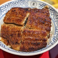 鰻う おか冨士 - うなぎ丼