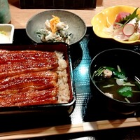 うなぎ 目白ぞろ芽 - 