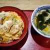 Oosaka Hannari Udon - 