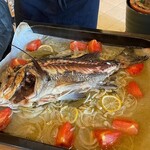 anchoa - 