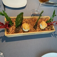 プレヴナンス - 