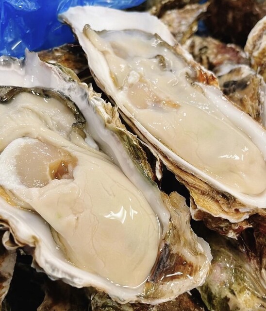 海鮮酒場ほまれ - 中野栄（居酒屋）の写真