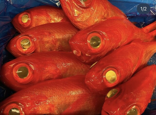 海鮮酒場ほまれ 中野栄｜仙台の新鮮魚介を堪能できる居酒屋