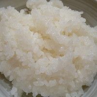 伊豆の旬 やんも 丸の内店 - 良い炊き加減のご飯