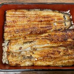 Kakumoto Unagi - 