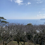 La Patisserie Du Musee Par Toshi Yoroizuka - 駿河湾