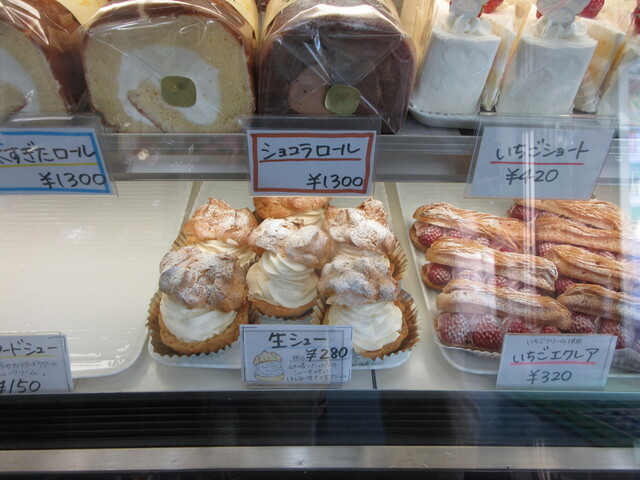 Amaryllis Shinkoya photo 5