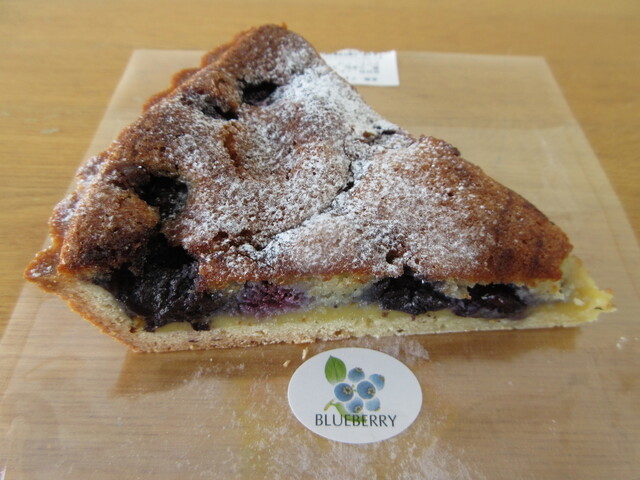 Amaryllis Shinkoya photo 3