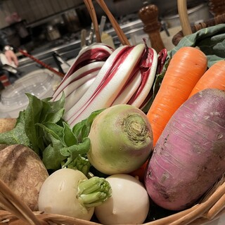 テラットリアエッフェ_2