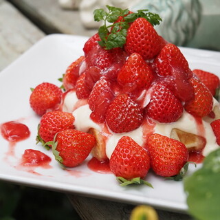 グリーンパーラー ベルベール_2