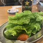 ニューみよし 今出川店 - 