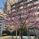 ヌードル＆スパイスカレー 今日の1番 - 