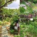 ケーキラボ・マグネット - 