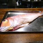 仁修樓 - 1キロ甘鯛