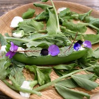 aru - 『北河さんのスナップエンドウ』