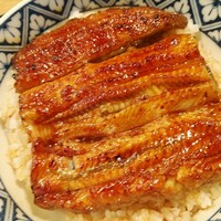 うなぎ 目白ぞろ芽 - 