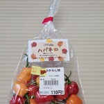 道の駅 筆柿の里・幸田 青果直売コーナー - 