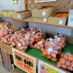 道の駅 筆柿の里・幸田 青果直売コーナー - 