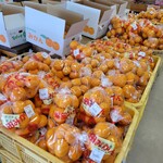 道の駅 筆柿の里・幸田 青果直売コーナー - 