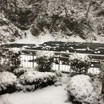 松楓楼 松屋 - 部屋の庭から見た渓流です。