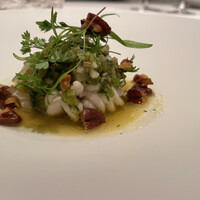 カンテサンス - 