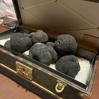 スガラボヴィー - 