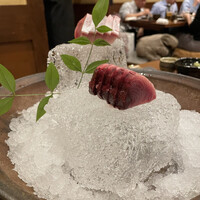 銀平 北新地店 - 