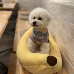 サッカバッカ - ＰＵＡちゃん