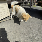 串焼き BUBU-TON - 