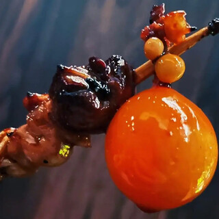 炭火焼鳥 西郷_1